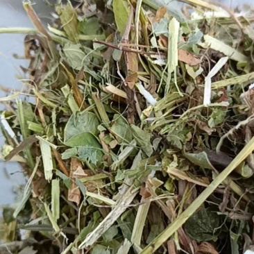 25年花生秧河南驻马店花生秧牛羊驴饲料全国供应质量保