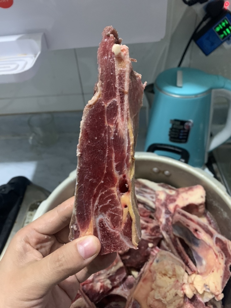 牛腩排，黄膘，肉含量高，大量现货，一件也是批发价。