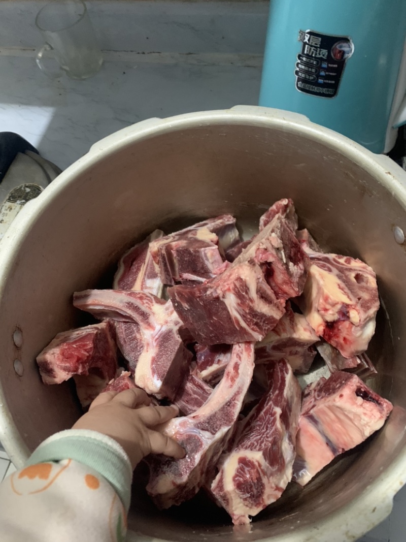 牛腩排，黄膘，肉含量高，大量现货，一件也是批发价。