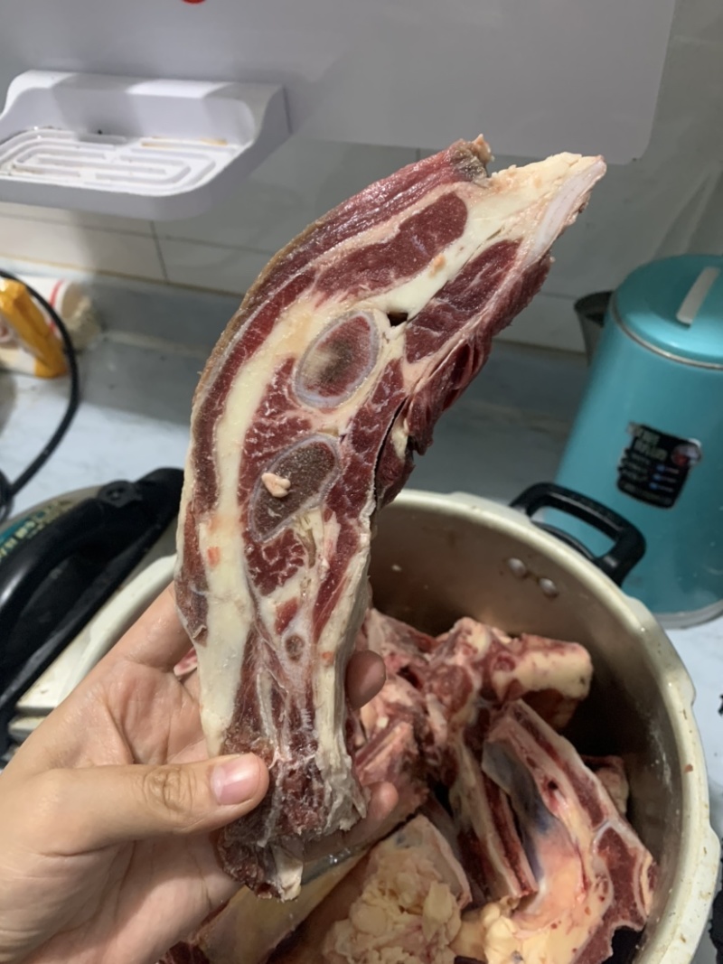 牛腩排，黄膘，肉含量高，大量现货，一件也是批发价。