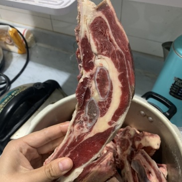 牛腩排，黄膘，肉含量高，大量现货，一件也是批发价。