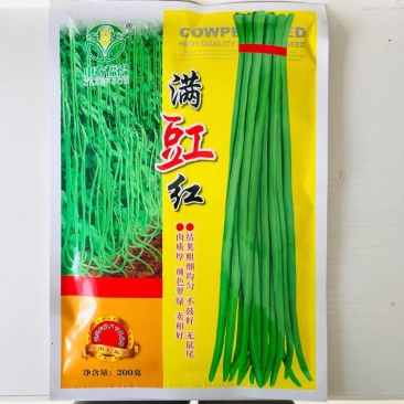 长豆角种子厚肉长豇豆种子油绿色豆角种籽高产耐热顺直大田