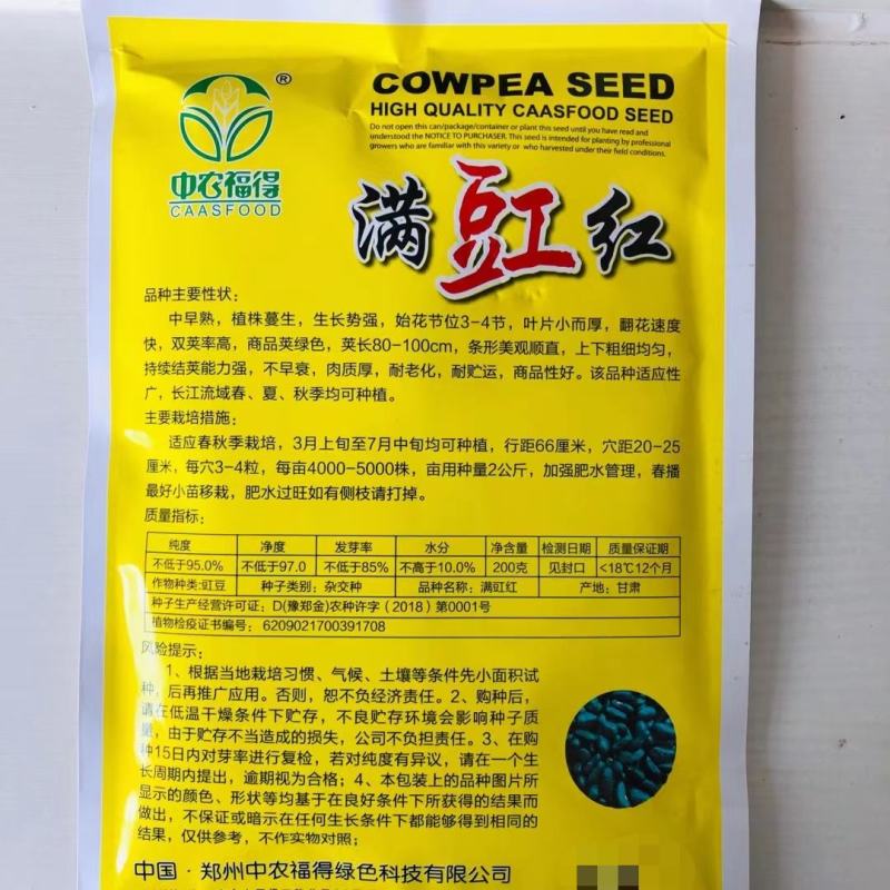 长豆角种子厚肉长豇豆种子油绿色豆角种籽高产耐热顺直大田