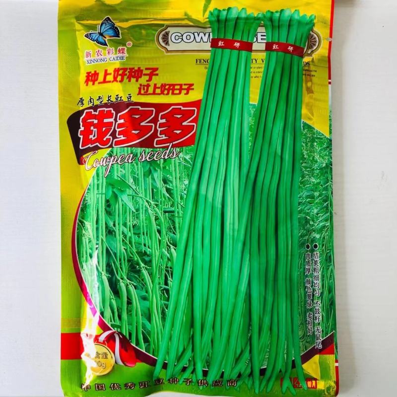 长豆角种子厚肉长豇豆种子油绿色豆角种籽高产耐热顺直大田