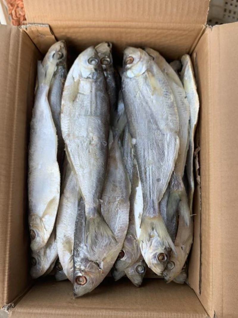 新到白磷鱼，品质很好！