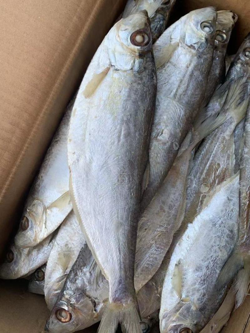 新到白磷鱼，品质很好！