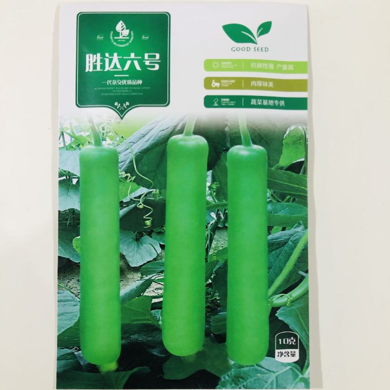 中短瓠瓜种子胜玉A6瓠瓜种子瓠瓜种中短棒蒲瓜种子瓠子种子