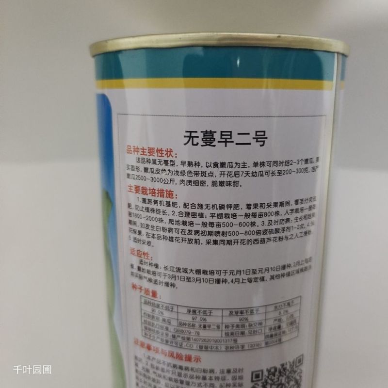 嫩南瓜种子绿色白花皮南瓜种子早熟耐寒高圆球形菜南瓜种籽