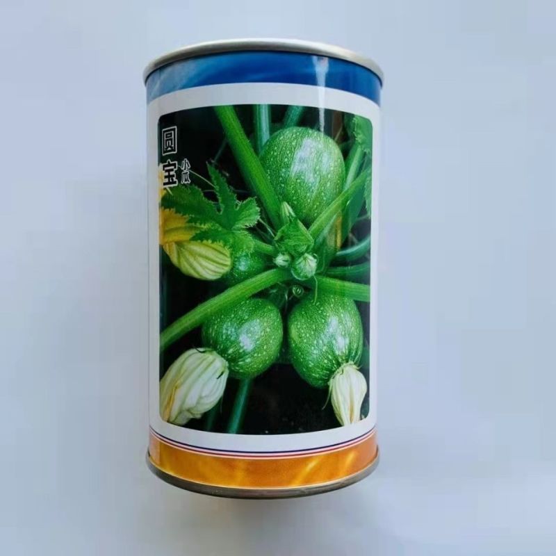 嫩南瓜种子绿色白花皮南瓜种子早熟耐寒高圆球形菜南瓜种籽