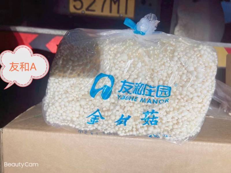 各种菌类价格不高欢迎来询问