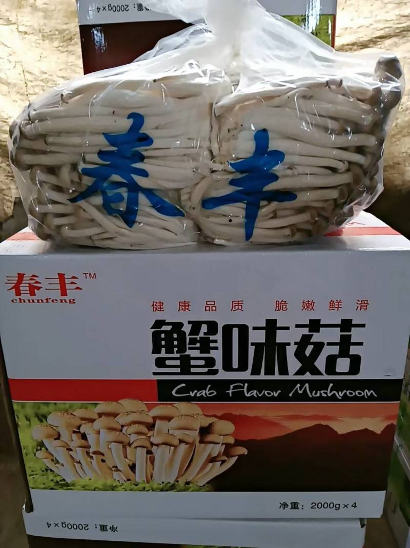 各种菌类价格不高欢迎来询问