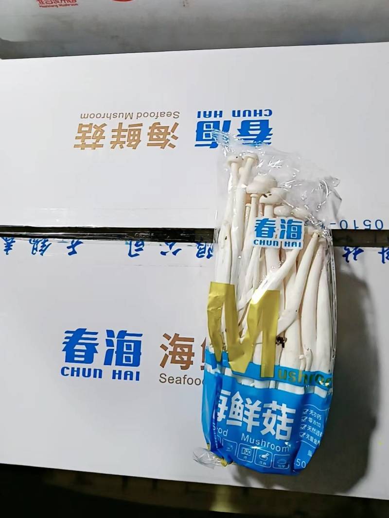 各种菌类价格不高欢迎来询问