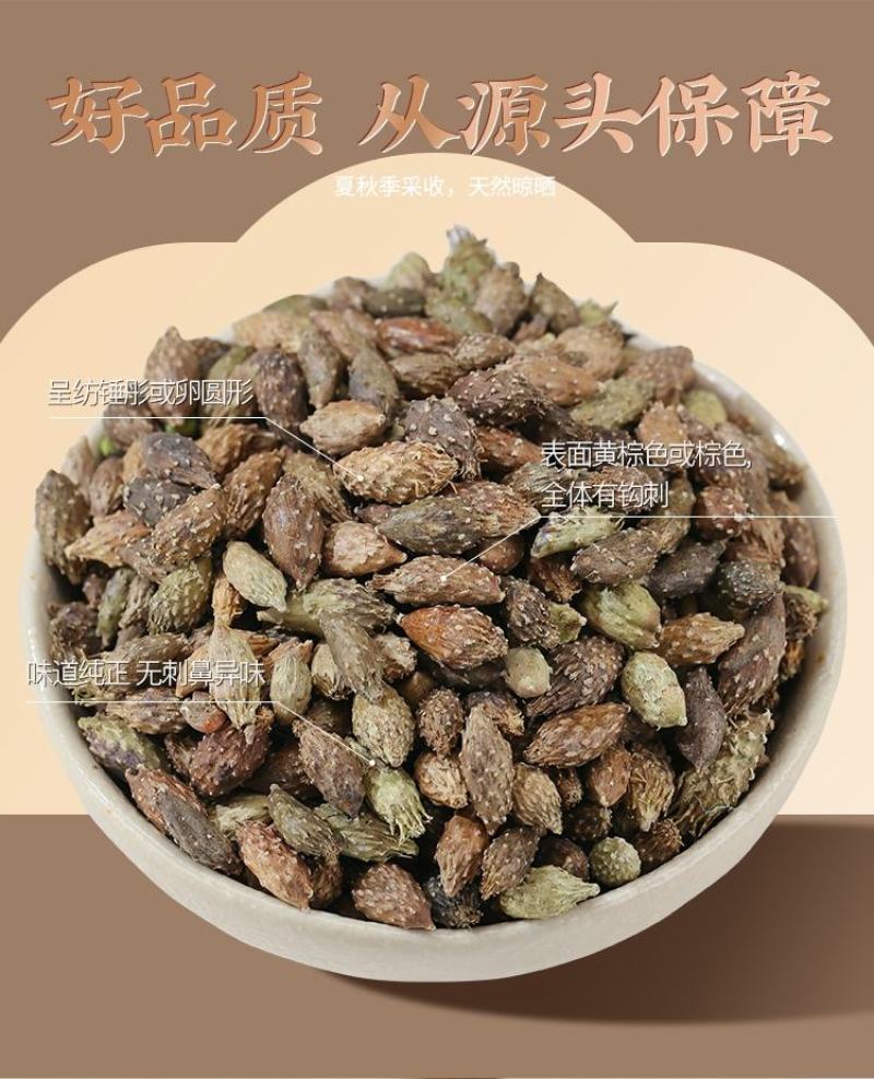 苍耳子产地大货严于品质地道药材实物拍摄祥泰药材栈