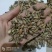 苍耳子产地大货严于品质地道药材实物拍摄祥泰药材栈