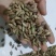 苍耳子产地大货严于品质地道药材实物拍摄祥泰药材栈