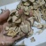 刺五加量多从优实物拍摄严于品质全国发货祥泰药材