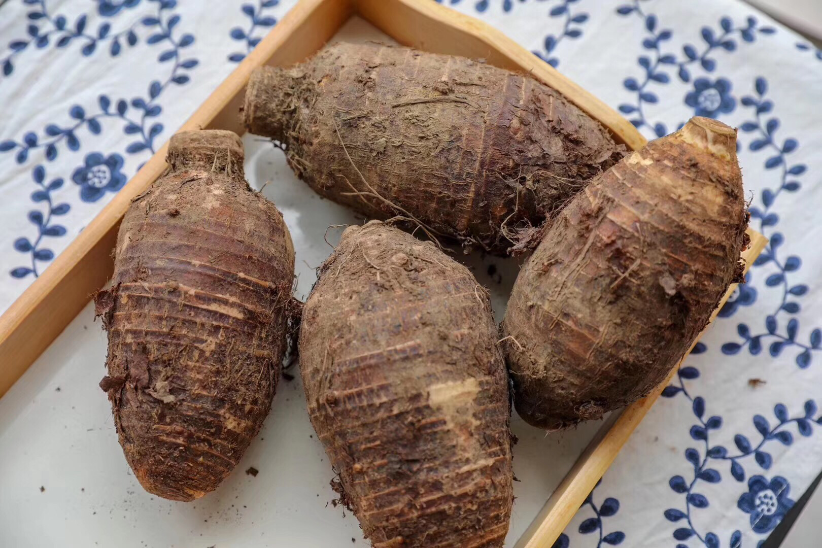 一个巨大的荔浦芋头放置在木质托盘上,表皮呈棕褐色带有细密纹理,切开部分露出紫红色交织白色条纹的横截面,周围摆放着新鲜绿叶和传统农具,背景为广西荔浦乡村田园风光 巨型荔浦芋头特写