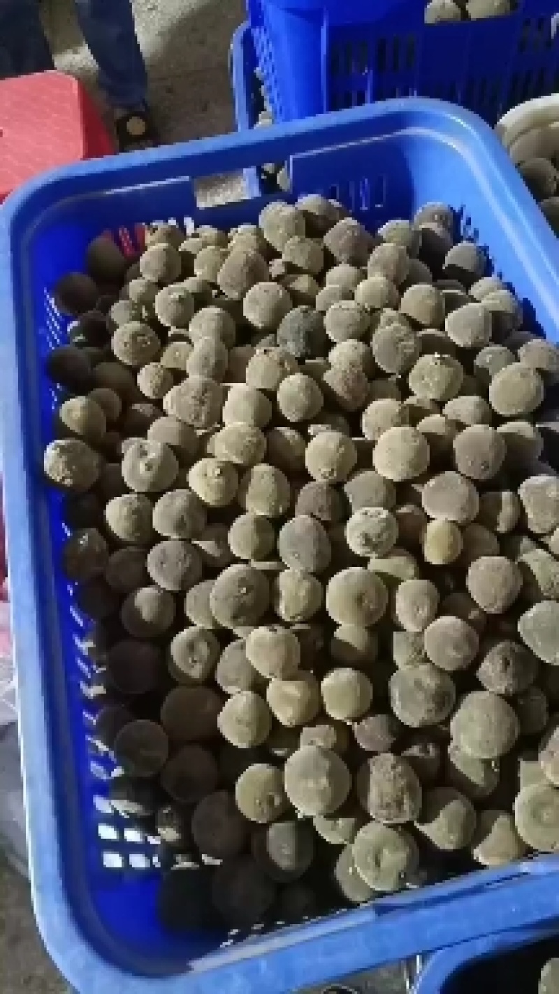化橘红化州橘红化桔红橘红产地直发化橘红果农价格实惠