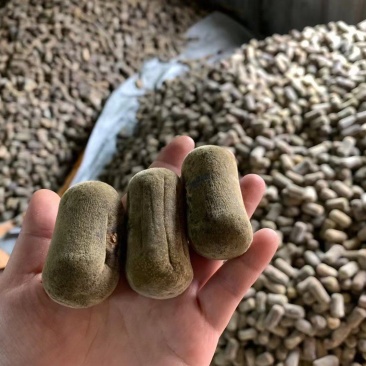 正毛橘红化州橘红压果化桔红化橘红果一手货源，各种规格都有