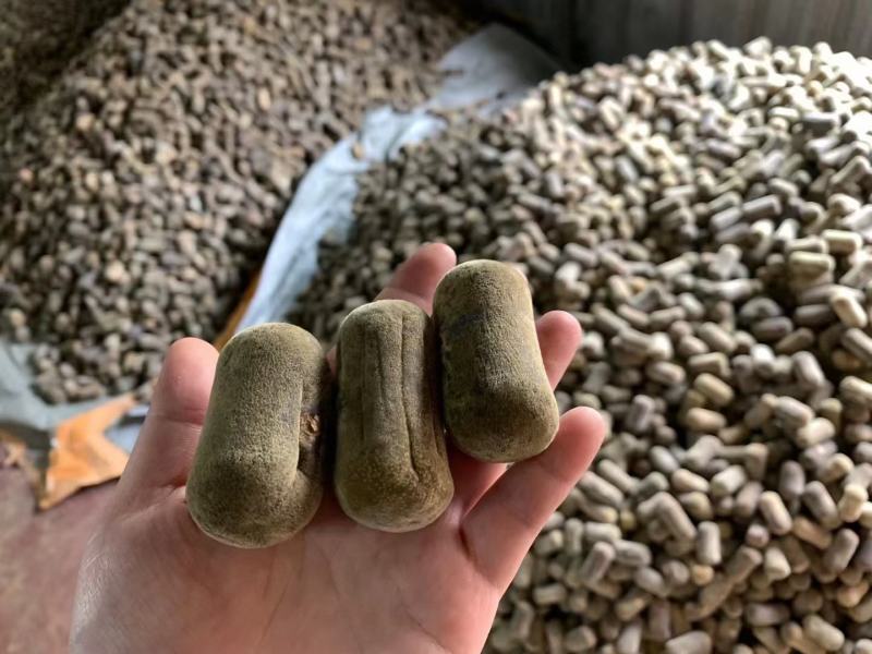 正毛橘红化州橘红压果化桔红化橘红果一手货源，各种规格都有