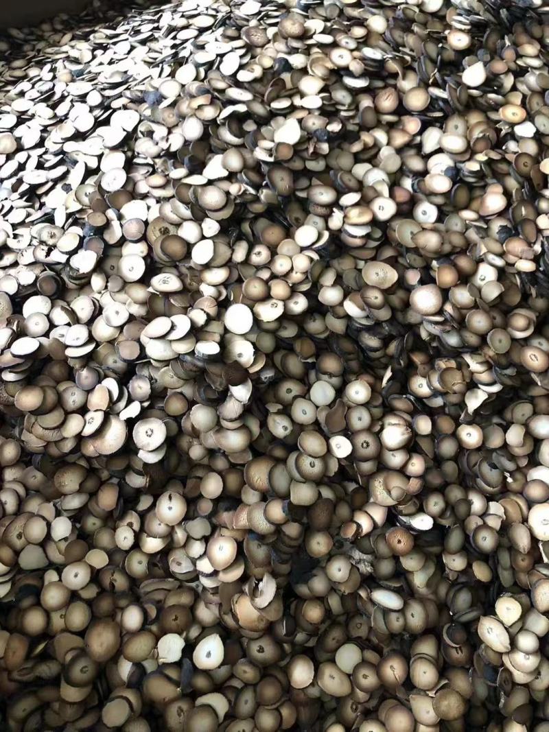 化橘红化州橘红产地直销正毛橘红片正宗化橘红