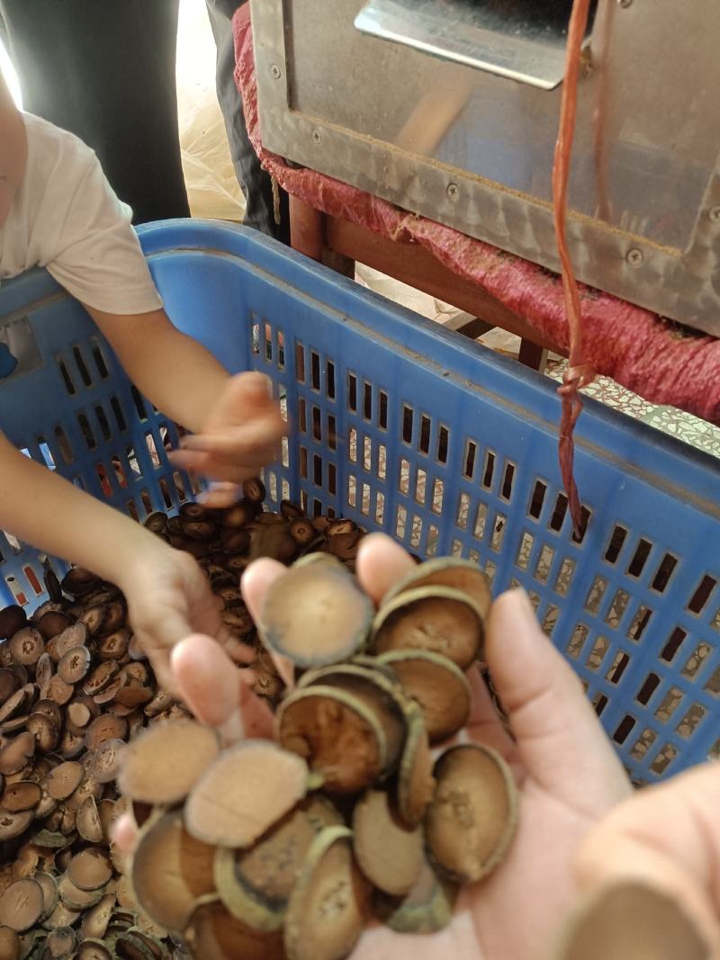 化橘红化州橘红产地直销正毛橘红片正宗化橘红