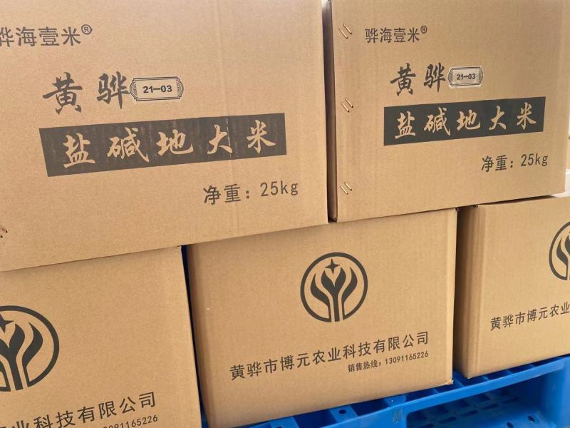 黄骅盐碱地大米2022年丰收了开始热卖中