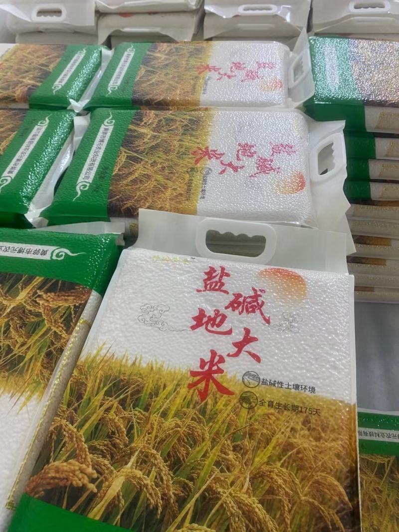 黄骅盐碱地大米2022年丰收了开始热卖中
