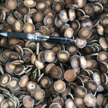 化橘红化州橘红陈年化橘红切片正毛橘红片