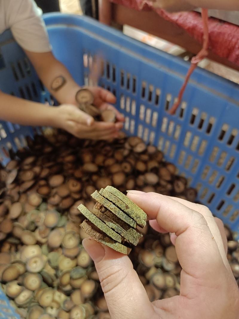 化橘红化州橘红陈年化橘红切片正毛橘红片