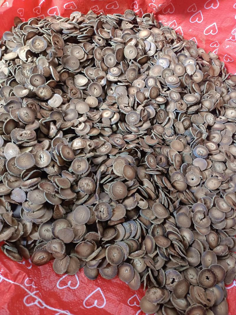 化橘红化州橘红陈年化橘红切片正毛橘红片