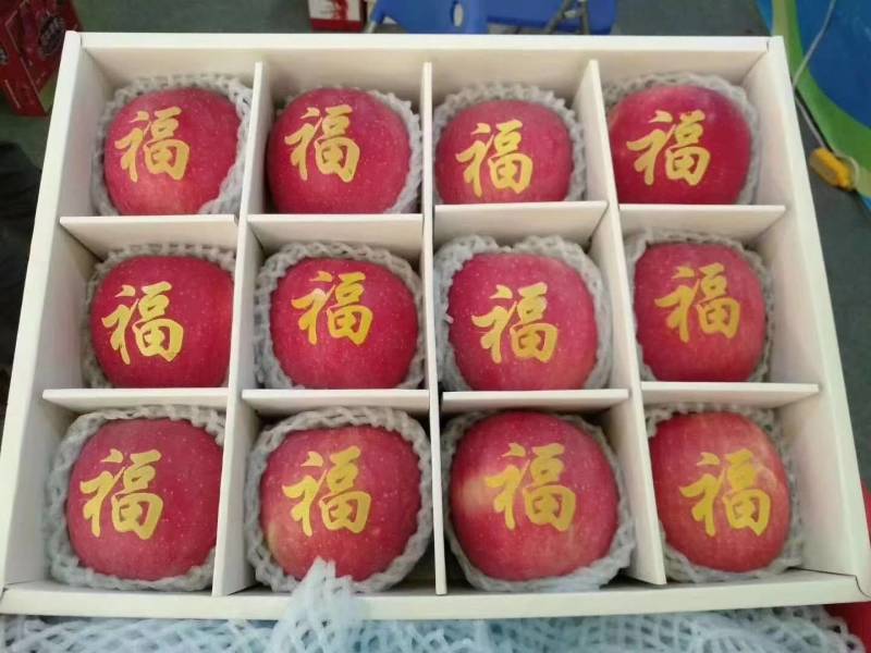 【下架】产地出售印字苹果，花样多，保质保量，全国发货。