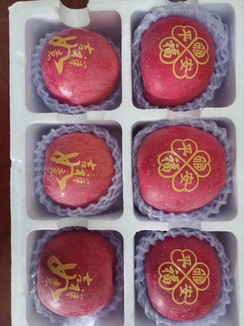 【下架】产地出售印字苹果，花样多，保质保量，全国发货。