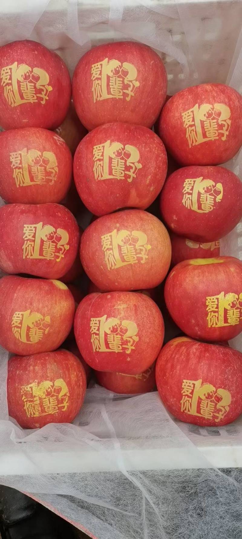 【下架】产地出售印字苹果，花样多，保质保量，全国发货。