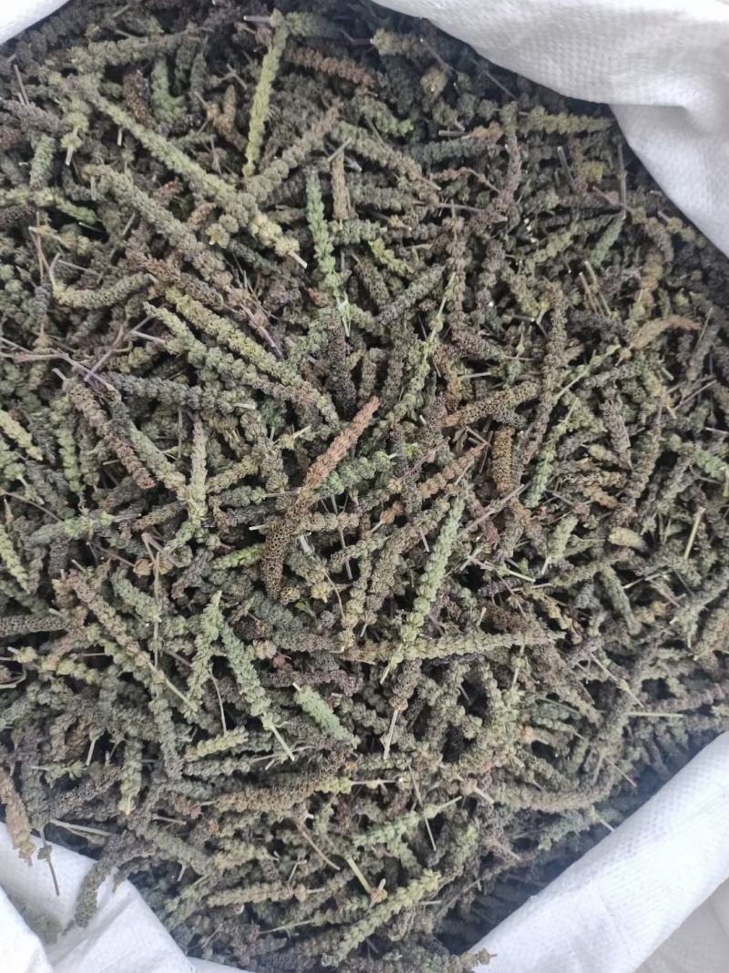 想卖中药材荆芥