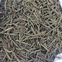 想卖中药材荆芥