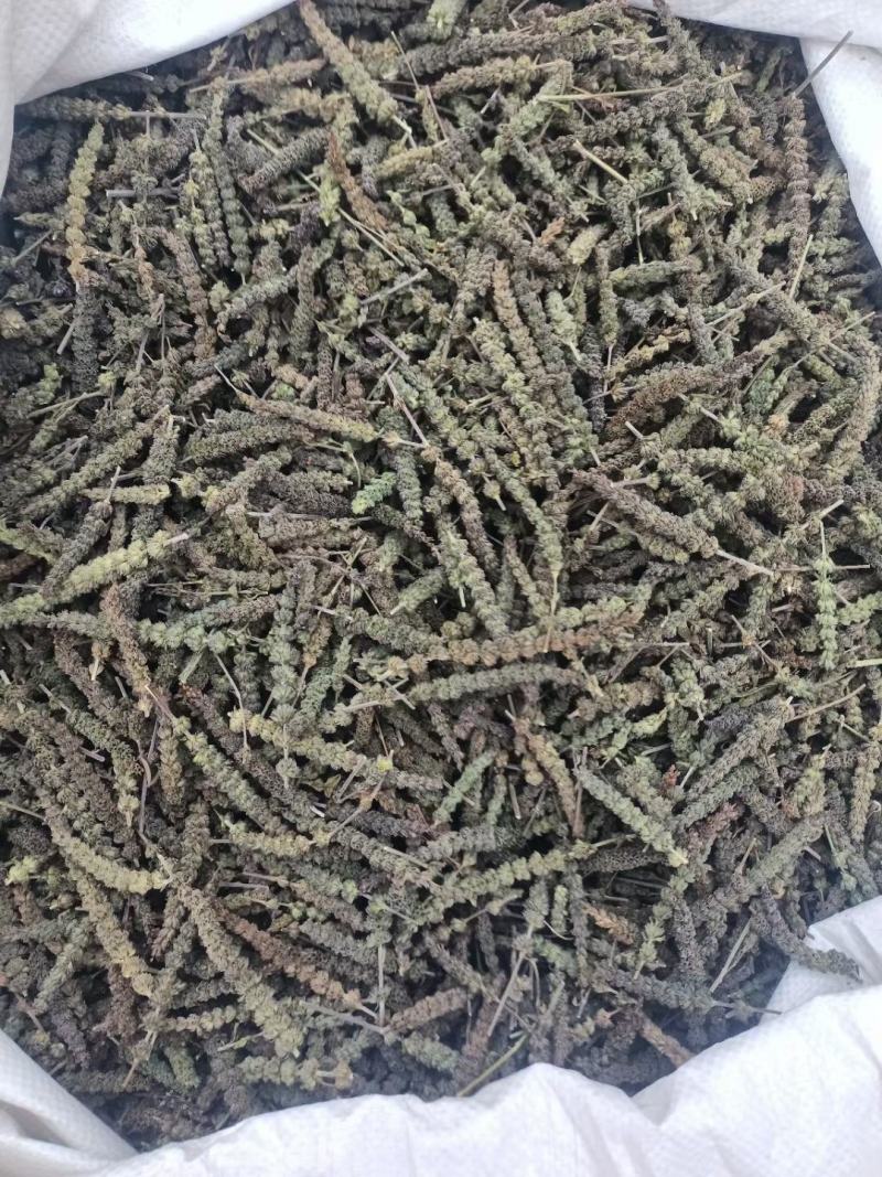 想卖中药材荆芥