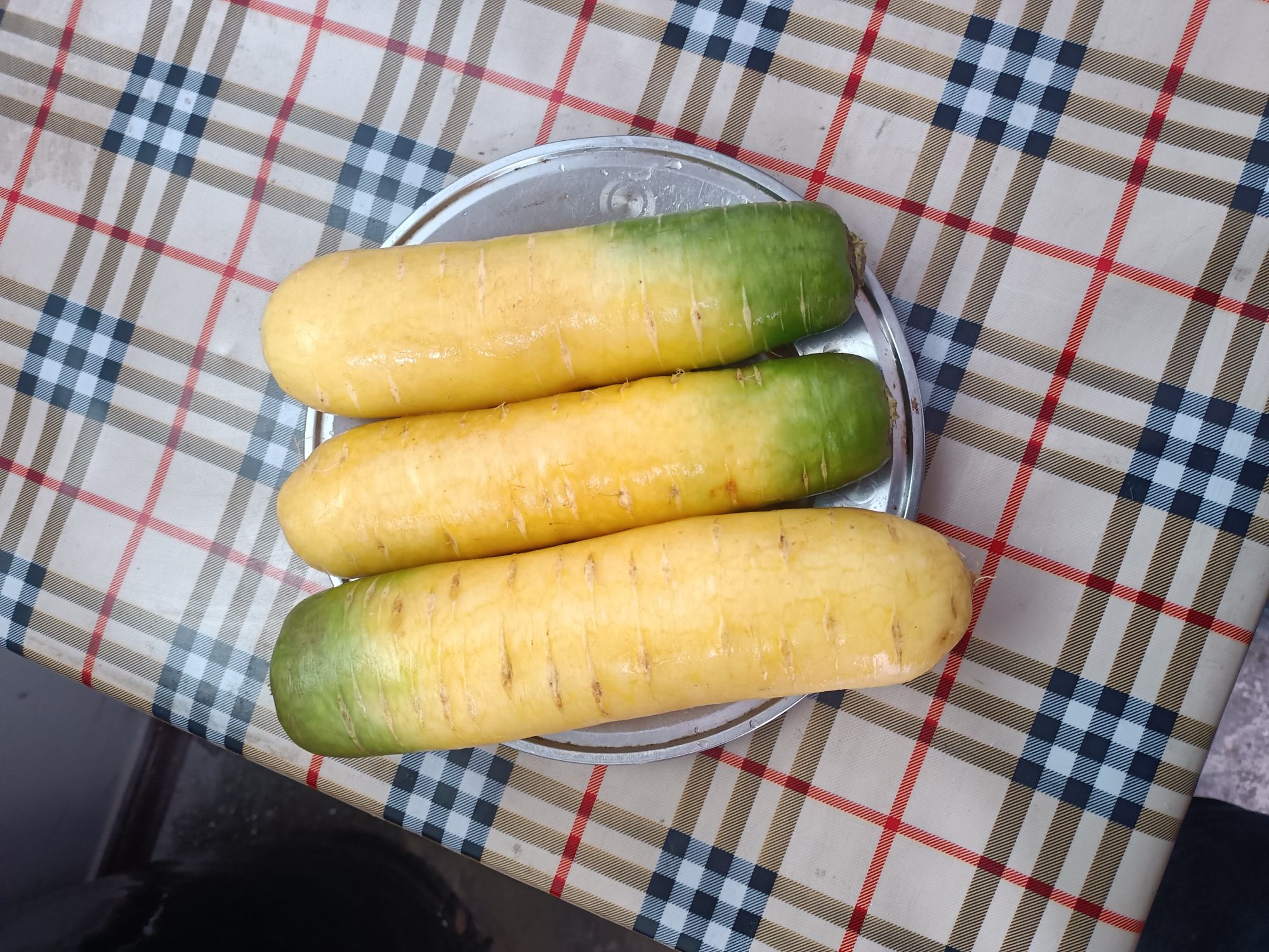 金丝熊在笼中进食的特写镜头