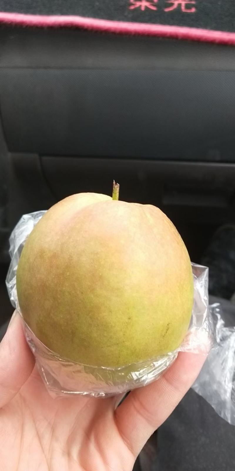 山西省运城市夏县坡顶上玉露香梨，口感酥脆，入口无渣，水分