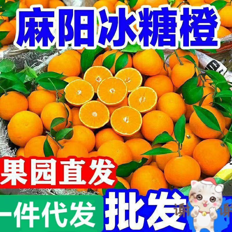 麻阳冰糖橙橙子一件代发批发发市场对接直播团购