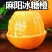 麻阳冰糖橙橙子一件代发批发发市场对接直播团购