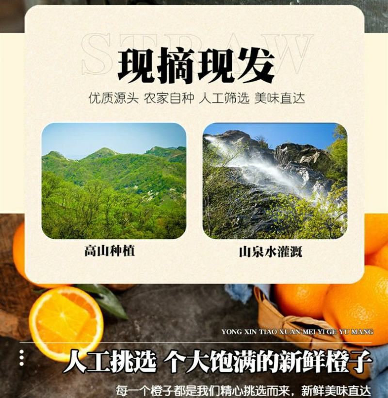 麻阳冰糖橙橙子一件代发批发发市场对接直播团购