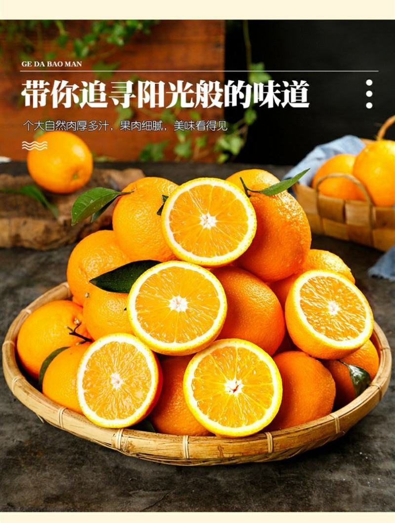 麻阳冰糖橙橙子一件代发批发发市场对接直播团购