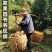 麻阳冰糖橙橙子一件代发批发发市场对接直播团购