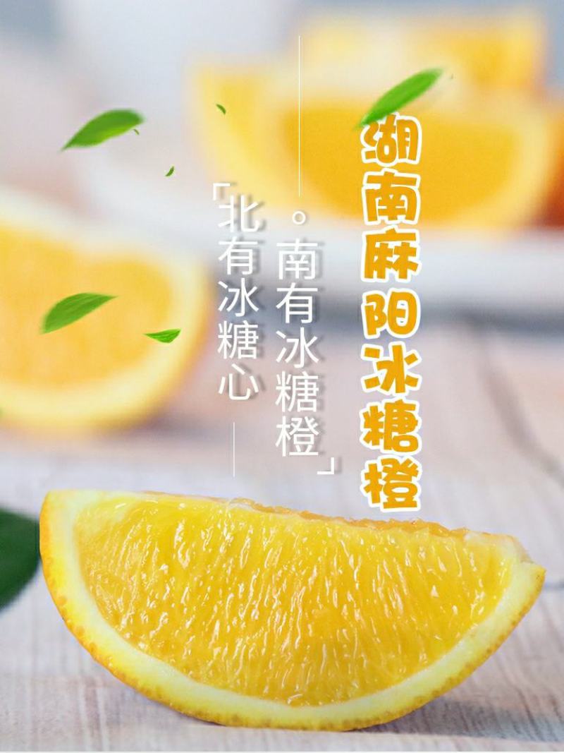 麻阳冰糖橙橙子一件代发批发发市场对接直播团购