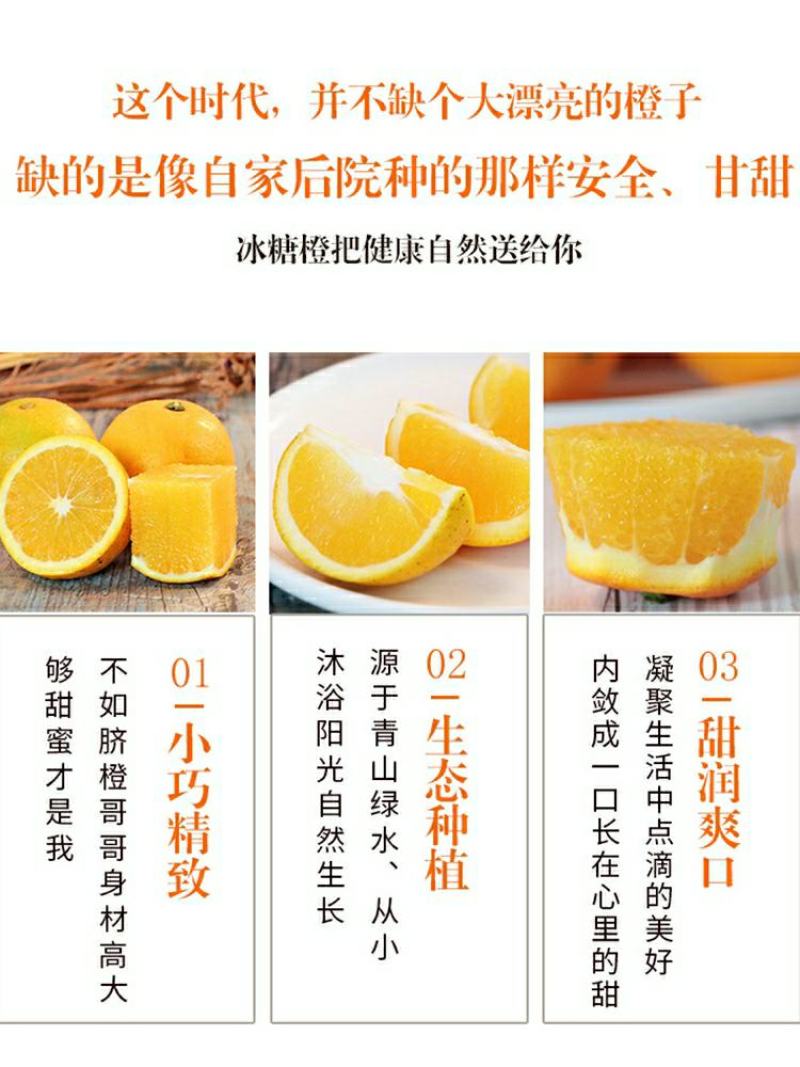 麻阳冰糖橙橙子一件代发批发发市场对接直播团购