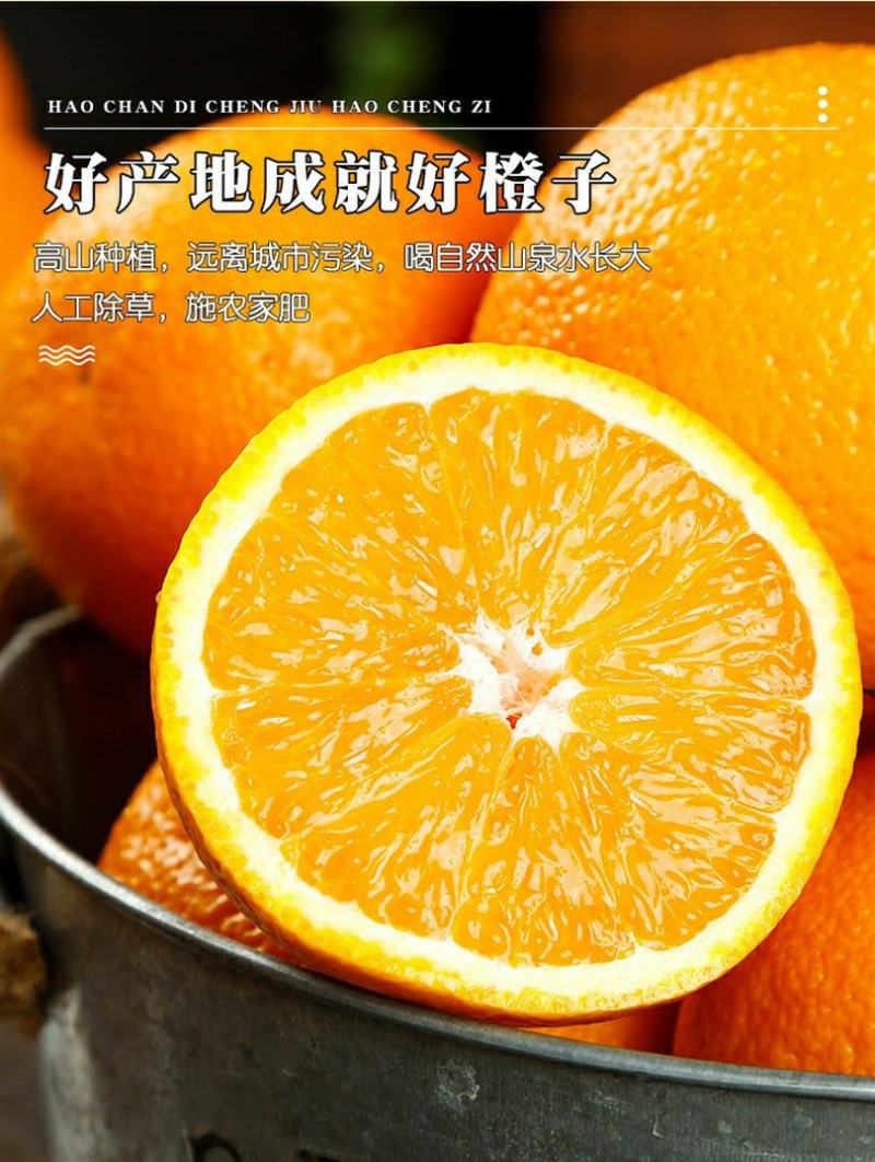 麻阳冰糖橙橙子一件代发批发发市场对接直播团购