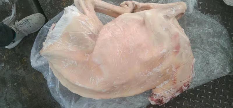 白条羊羊肉带皮羊绵羊弯瘦羊整只羊