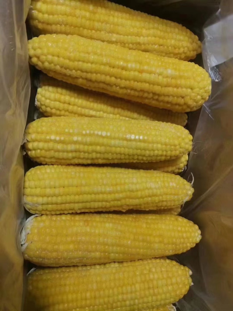 速冻玉米冻玉米熟冻甜糯整车发货散装箱装量大优惠