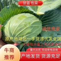 大扁包产地直供大产区.货源充足全国发货。菜质清秀漂亮